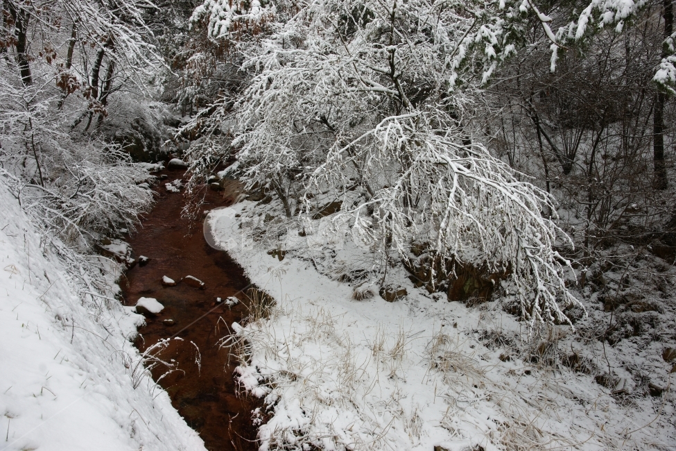 주전,주전눈,주전눈사진,간만에내린눈,울산주전눈,겨울,계절,winter,season,자연,풍경,nature,landscape,outdoors,옥외,snow,눈