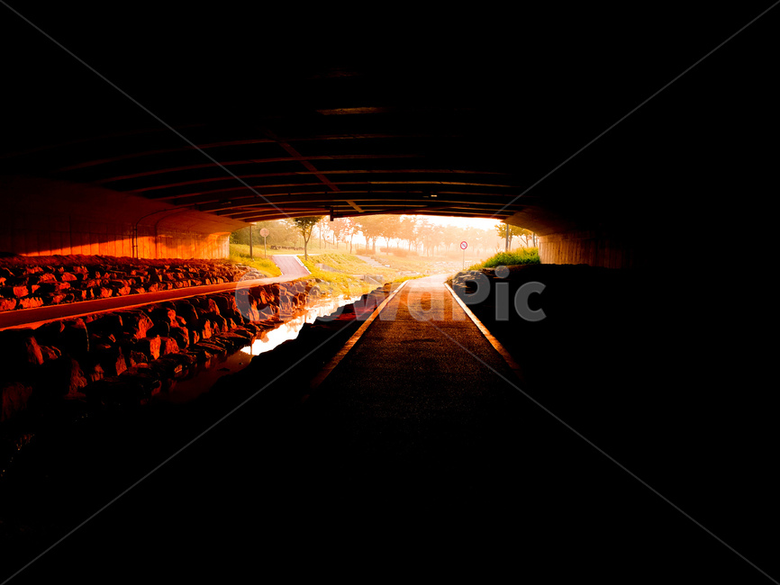 다리,빛,풍경,도랑물,나무,transportation,교통,rail,레일,train track,기찻길,railway,철도