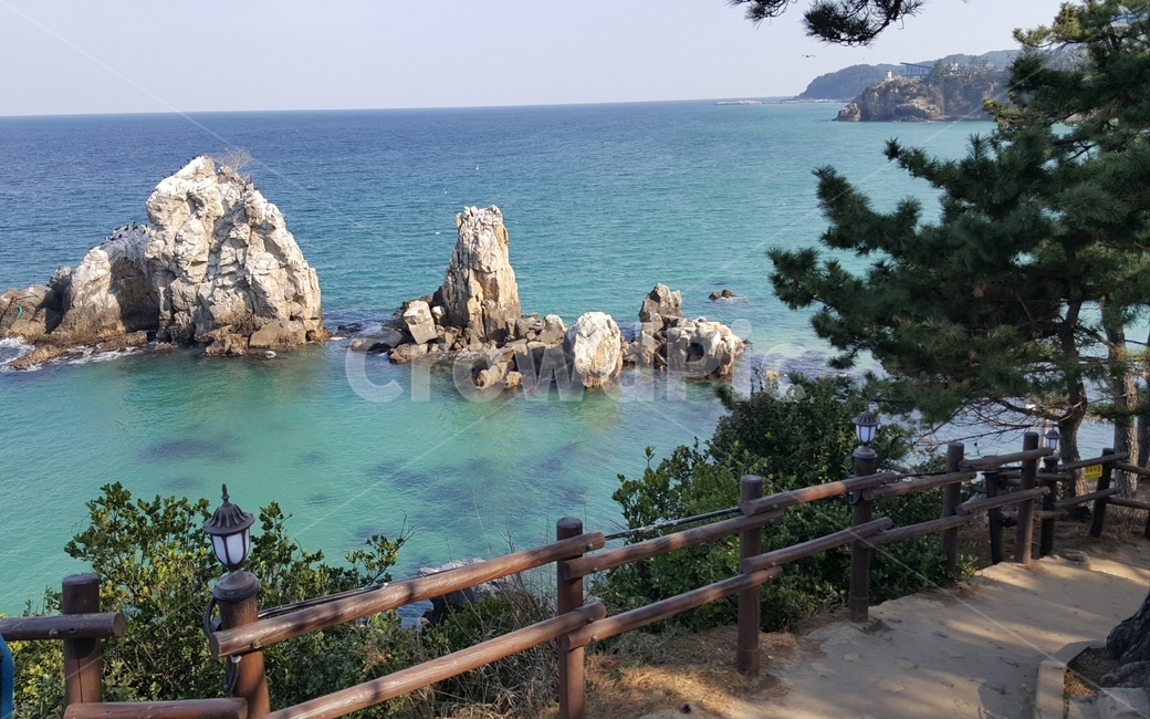 바닷가,바다,하늘,바위,암석,암초,소나무,자연,풍경,nature,landscape,promontory,곶,sea,ocean,대양,outdoors,옥외,water,물