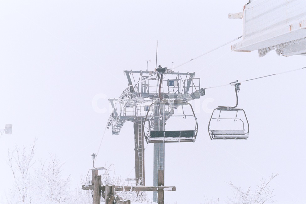 리프트,스키장,설경,눈,케이블카,곤돌라,겨울,snow,winter,겨울,계절,winter,season,교통,교통수단,traffic,transportation