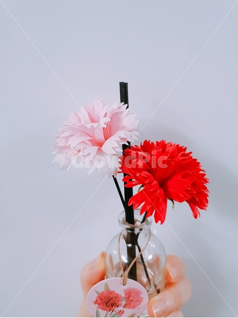 카네이션,어버이날,디퓨저,부모님,선물