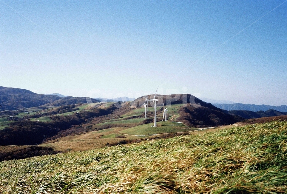 필름,film,풍력발전기,하늘목장,풍차,자연,풍경,landmark,landscape,대지,자연,풍경,nature,landscape,한국자연풍경,한국자연경관,korea nature landscape,산업,industry,industrial,에너지산업,energy industry,outdoors,옥외,hill,언덕,field,들,grassland,목초지