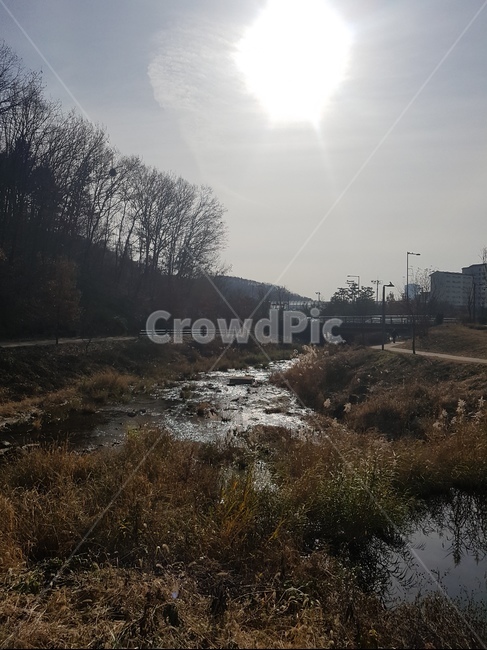 계곡,평화,따스함,산책,공원,자연,풍경,nature,landscape,land,땅,outdoors,옥외,water,물