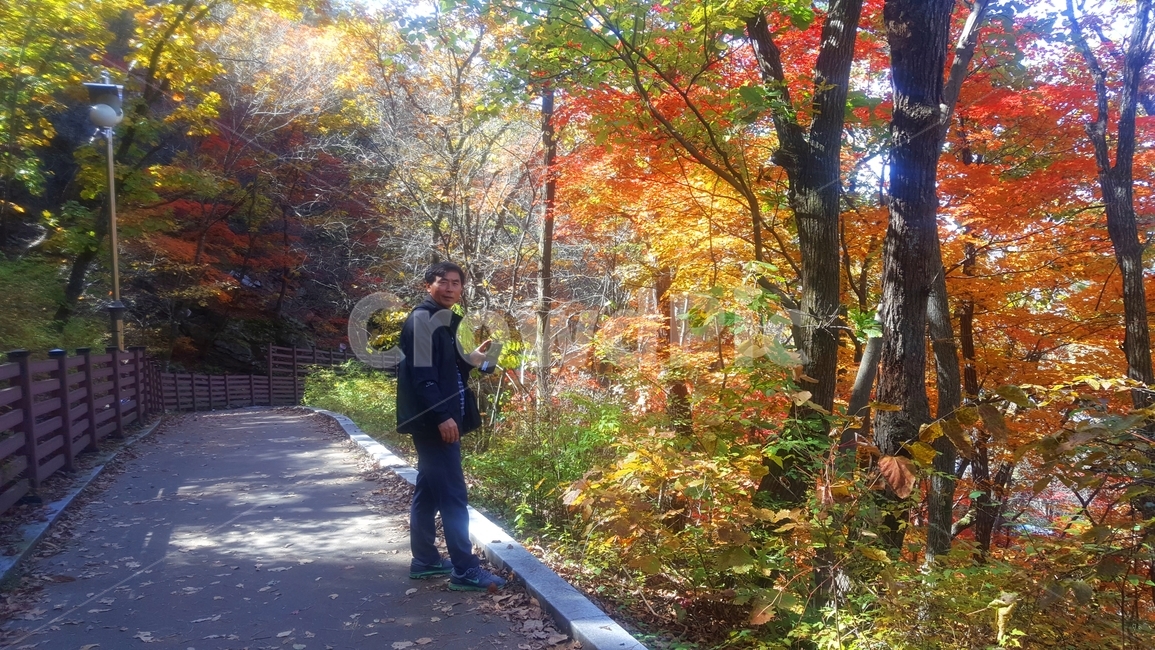 산정호수,호수,가을,물가,낙엽,가을,계절,fall,autumn,season,사람,인물,인간,human,person,남성,남자,man,male,plant,식물,tree,나무