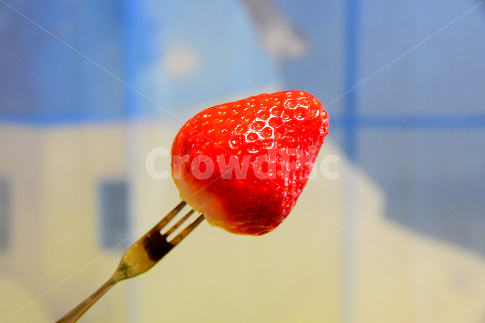 딸기,후식,음식,과일,식재료,포크,열매,빨강색,dessert,fruits,strawberry,음식,식재료,요리,food,cook,meal,dishes,food reserves,과일,열매,fruit,채소,야채,vegetables