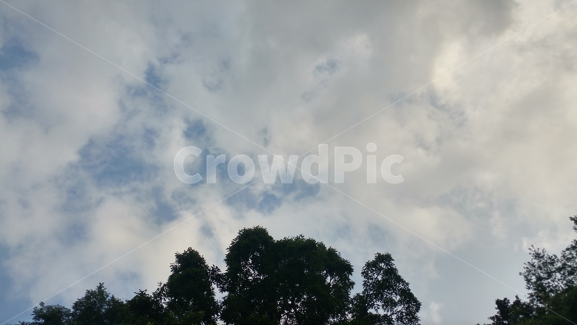 하늘,구름,나무,풍경,sky,cloud