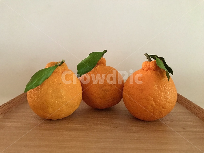 한라봉,hallabong,비타민c,과일,fruit,음식,식재료,요리,food,cook,meal,dishes,food reserves
