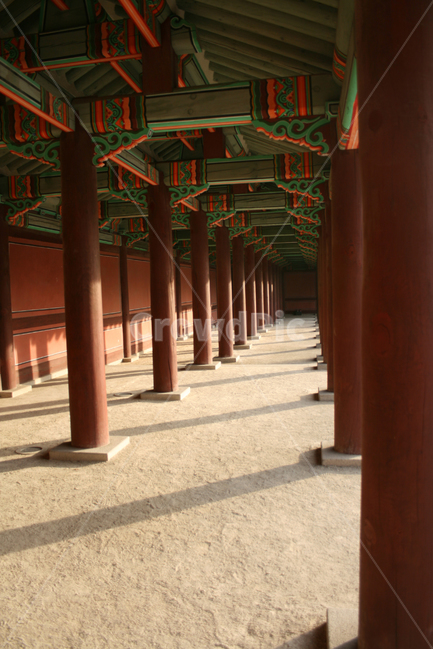 창덕궁,인정전,한국의궁,세계문화유산,문화유산,한국,전각,기둥,한국전통,한국문화,korean traditional,korean culture,랜드마크,landmark,tourist attraction,한국랜드마크,한국관광지,한국명소,korea landmark,korea tourist attraction,건축물,건물외관,exterior,building,structure,architecture,construction