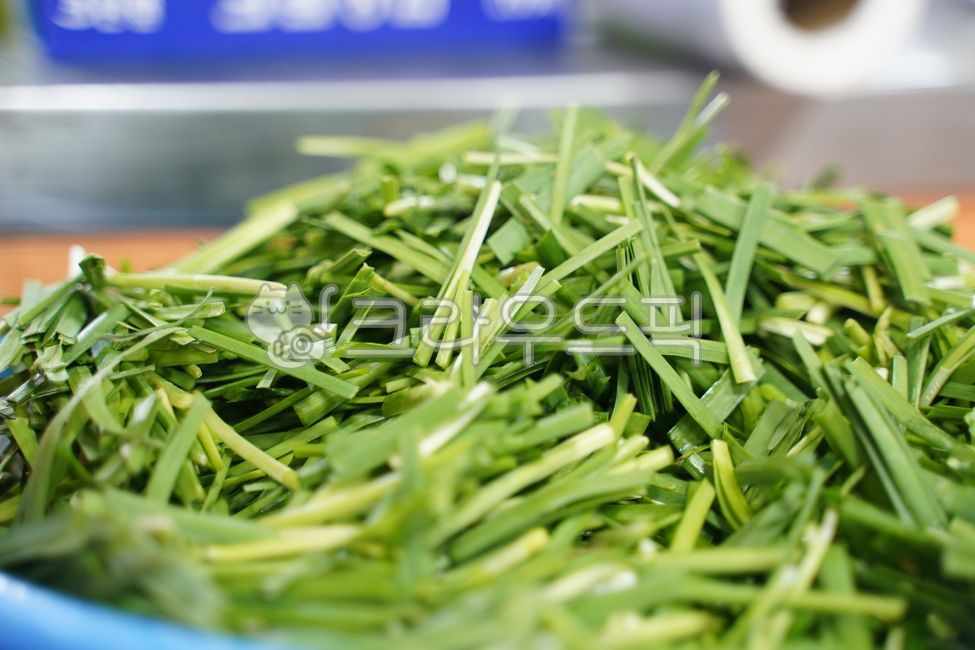 부추,전구지,부추무침,야채,leek