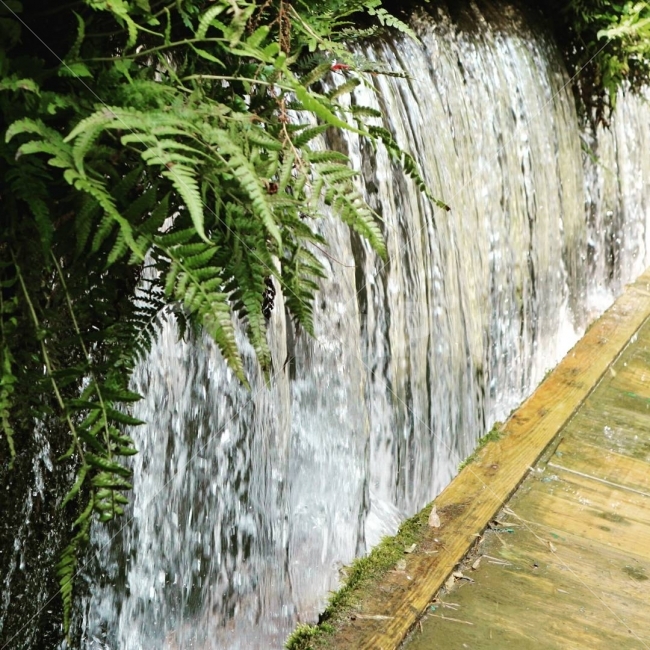 물,폭포,시원함,여행,사진,자연,풍경,nature,landscape,여름,계절,summer,season,휴식,힐링,rest,relaxation,healing,bridge,다리,boardwalk,산책로,building,건물,water