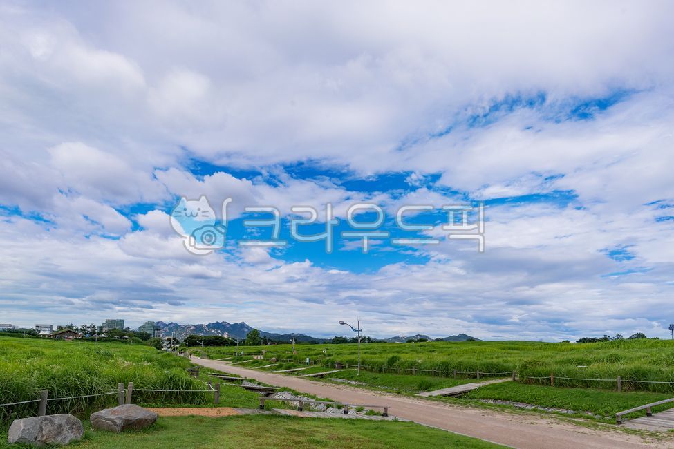 하늘,파란하늘,흰구름,구름,억새,초원,풀밭,날씨,맑음,깨끗한,공기,걷기,산책,공원,여름,낮,녹색,배경,sky,bluesky,whiteclouds,cloud,silvergrass,dirtroad,pasture,grassfields,weather,sunny,clean,air,walkingwalk,park,summer,daytime,green,background