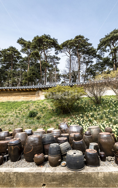 서산유기방가옥,문화재,관광지,장독,전통장독대,전통가옥,전통담장,항아리,옹기,명가,한국전통,한국문화,korean traditional,korean culture