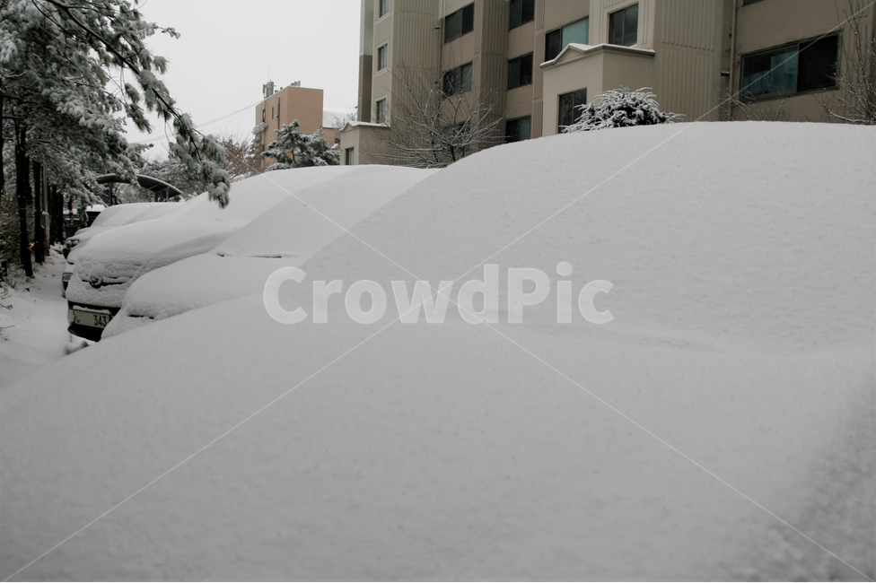 폭설,겨울,주차장,풍경,자동차,승용차,주차,계절,아파트,겨울,계절,winter,season,교통,교통수단,traffic,transportation