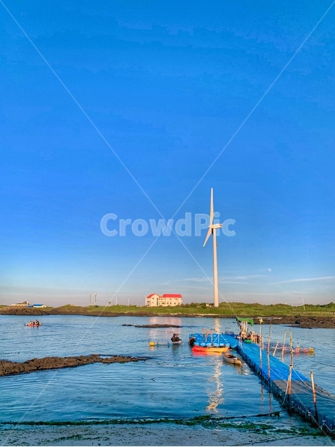 제주도,바다,월정리해변,자연,제주