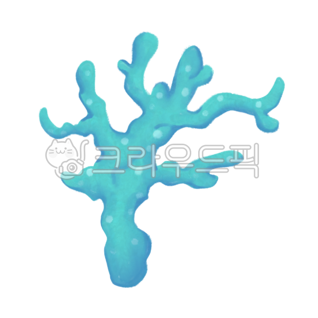 nature,sea day,seaweed,Biology,water,summer,ocean,coral,underwater,sea creatures,coral reef,environment day,aquatic plants,world ocean day,marine life