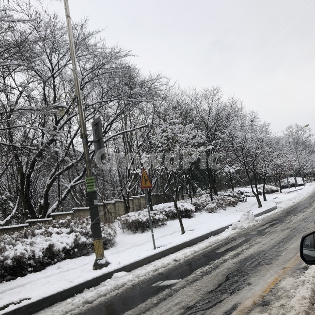 nature,자연,겨울,풍경,경치,눈,도로,차도,snow,winter,tree,나무