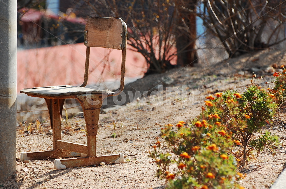 ground,의자,외로운,chair,들꽃