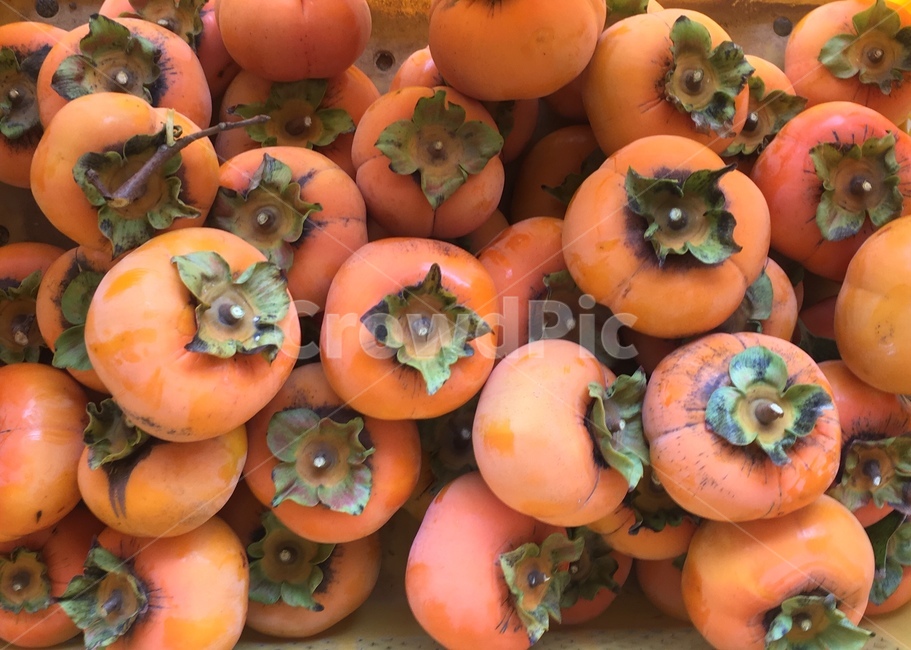 감,단감,농작물,과일,가을,주황색,열매,시골,오렌지색,food,fruit,persimmon,asweetpersimmon,autumn,fall,orange,음식,식재료,요리,food,cook,meal,dishes,food reserves,과일,열매,fruit