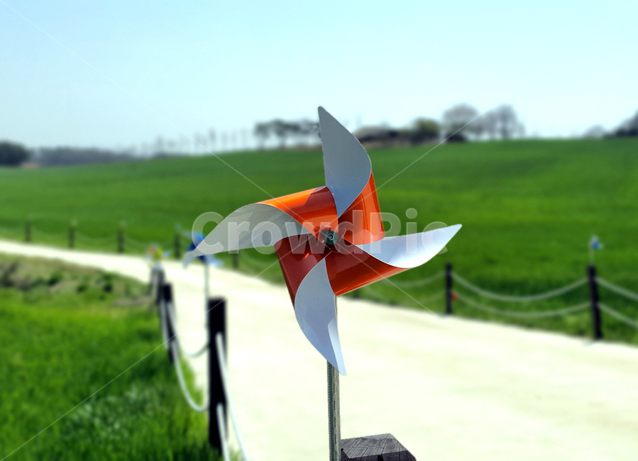 팔랑개비,바람개비,청보리,청보리밭,들판,바람,고창,windmill,grassland,초원,green,풍차