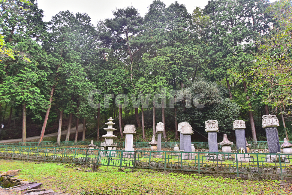 선암사,부도밭,불교문화,석물,탑,오래된,세월,돌,암석,화강암,forest,묘탑,tomb,사리탑,무덤,숲,녹지