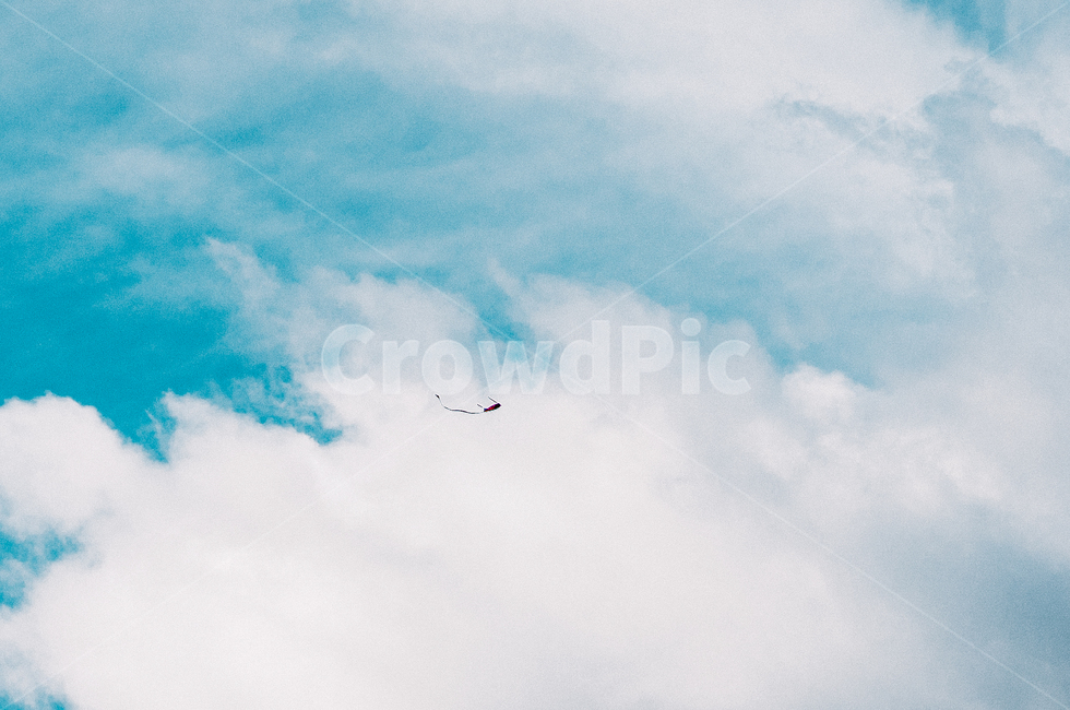 하늘,푸름,연,비상,비행,자연,풍경,nature,landscape,adventure,모험,leisure activities,레저 활동,animal,동물,flying,나는,bird,새