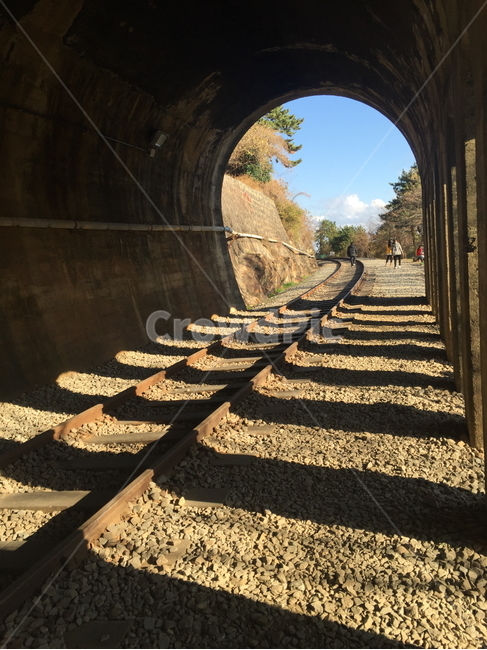 폐기찻길,오래된,쓸쓸한,기차,레일,교통,교통수단,traffic,transportation,railway,철도,train track,기찻길,rail
