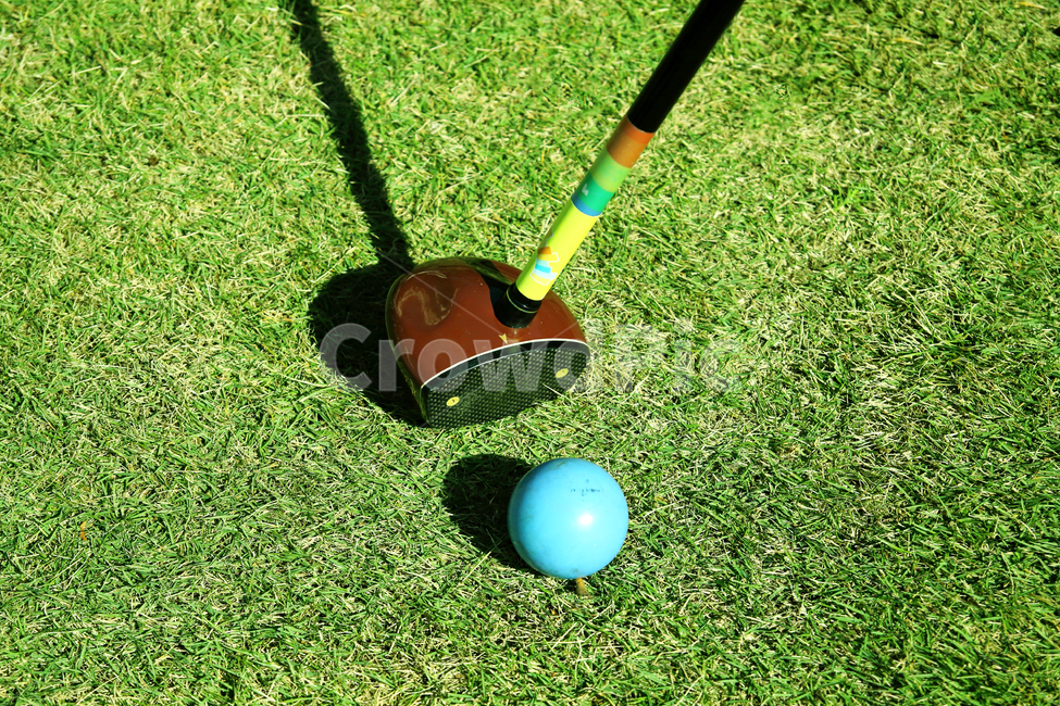 파크골프,파크골브장비,공,운동,스포츠,노년,취미활동,스포츠,레저,운동,sports,leisure,exercise