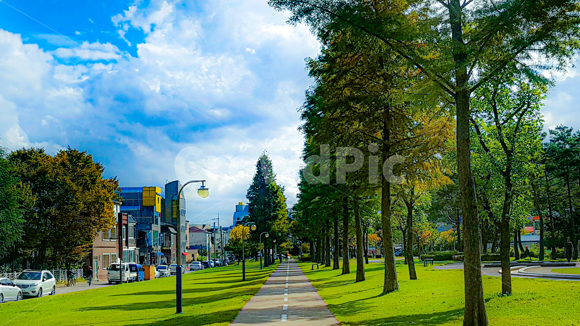공원,산책,야외,하늘,구름,나무,outdoors,grass,lawn,plant,park,tree