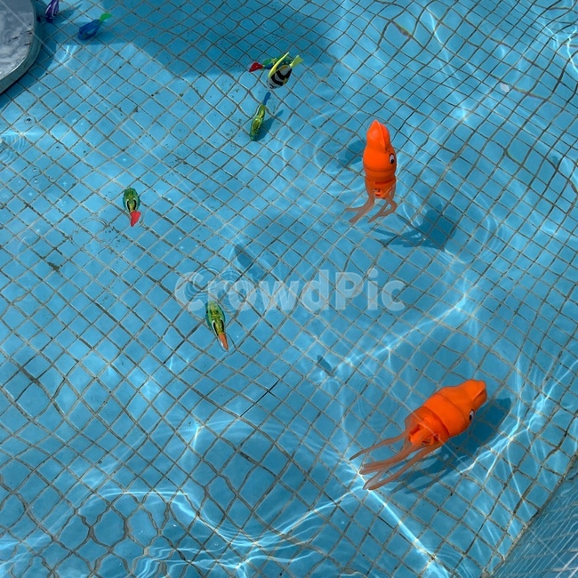 오징어,로봇오징어,로봇,장난감,수영장,pool,squid,바탕화면,배경화면