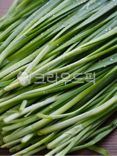 부추,유기농,유기농부추,채소,야채,음식,음식재료,녹색,chives,organic,organicleek,vegetable,food,foodingredients,green,배경,background,웰빙,웰빙음식,녹색채소,잎,잎채소,wellbeing,wellnessfood,greenvegetable,leaf,leafvegetable,식물,plant,음식,식재료,요리,food,cook,meal,dishes,food reserves,채소,야채,vegetables
