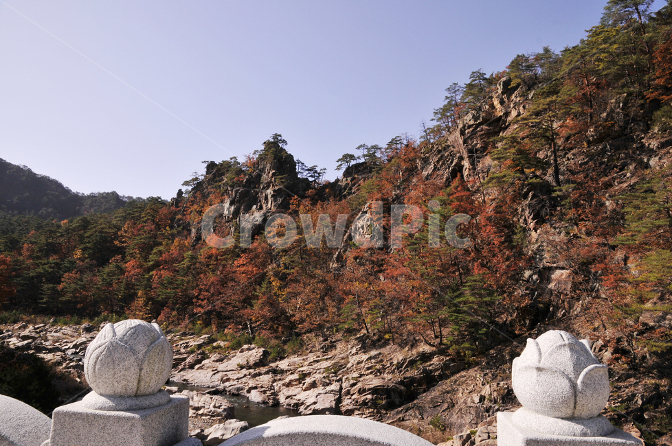 불영사,불영사계곡,가을,단풍,자연,nature,mountain,산,가을불영사,가을불영사계곡