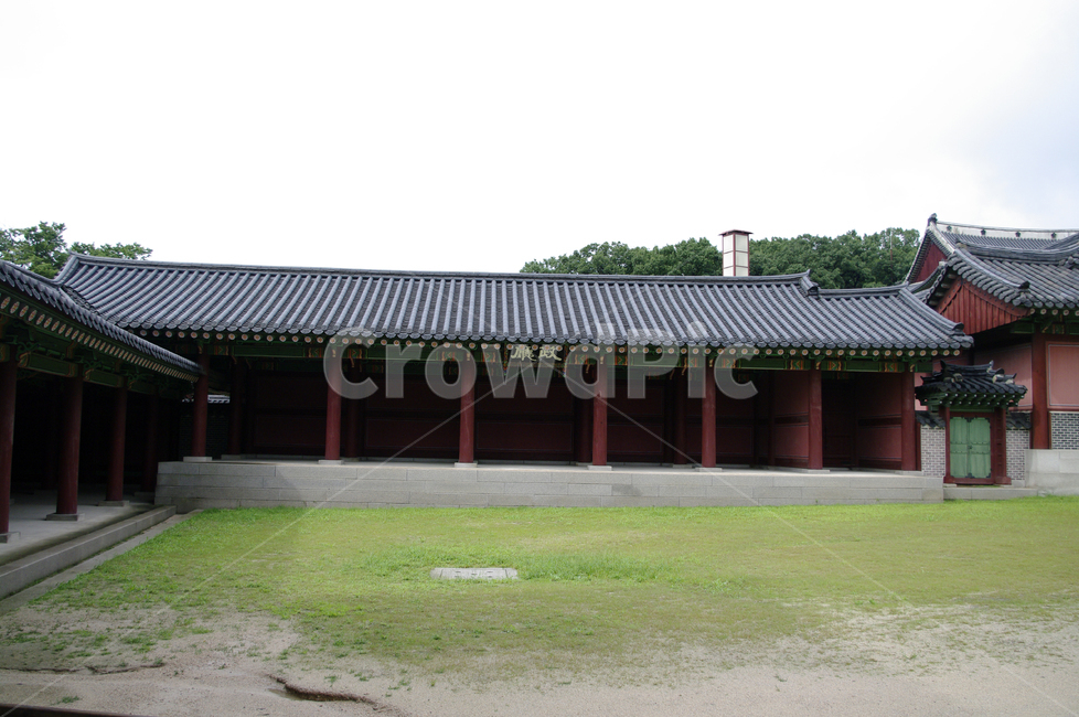 창덕궁,고궁,한옥,전통가옥,기와지붕,건축,traditional,나무,한국전통,한국문화,korean traditional,korean culture,랜드마크,landmark,tourist attraction,한국랜드마크,한국관광지,한국명소,korea landmark,korea tourist attraction,건축물,건물외관,exterior,building,structure,architecture,construction