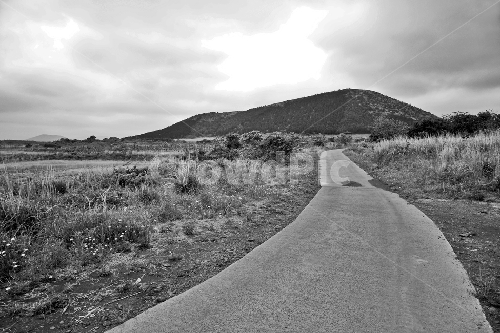 갑마장길,제주도,표선면,가시리,트레일,오름,탐방로,흑백,자연,풍경,nature,landscape,흑백,모노톤,monochrome,black and white