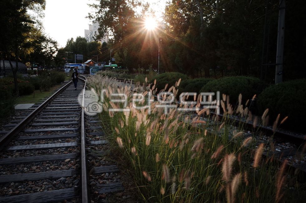traintrack, 기찻길, 레일, rail, railway, 사진,이미지,일러스트,캘리그라피 - 524_snap작가