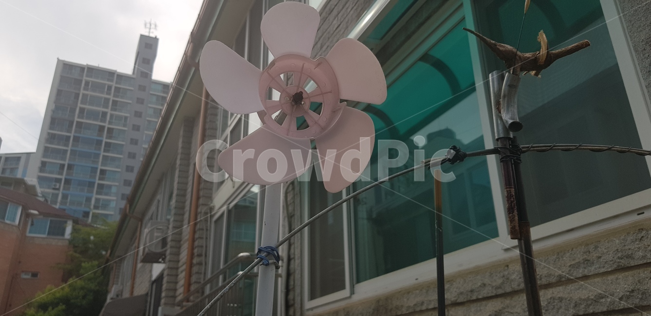 바람개비,뒷골목바람,자유,장난감,분홍