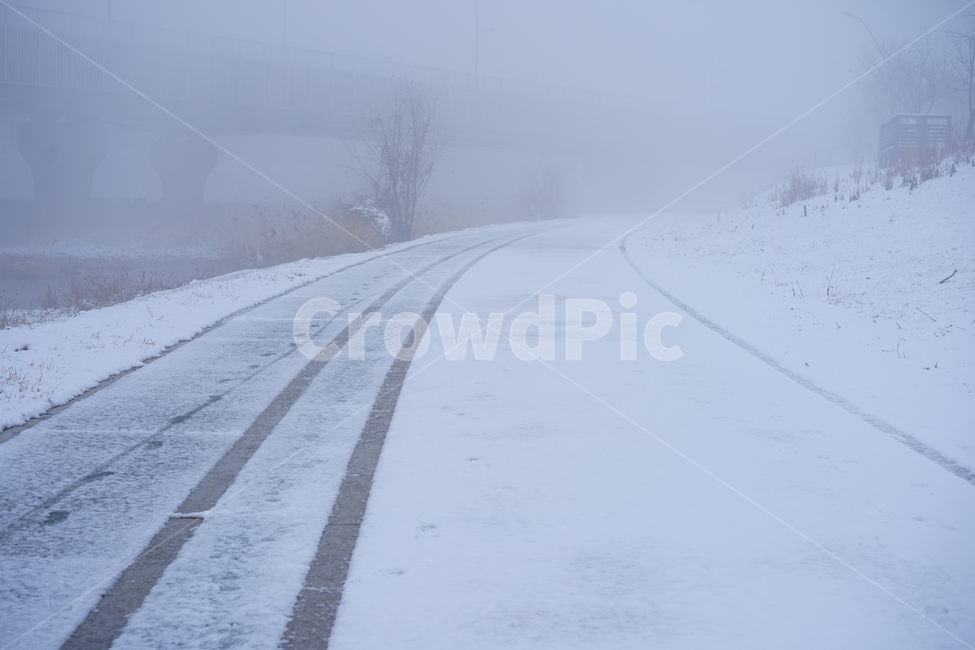 겨울,산책,눈,겨울풍경,풍경,snow,추위,날씨,계절,길,일상,풍경사진,스노우,강추위,눈보라,한겨울,자연,겨울,계절,winter,season,자연,풍경,nature,landscape,storm,폭풍,outdoors,옥외,blizzard