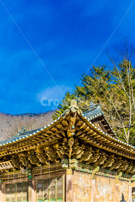 사찰,문화유산,처마,기와,무단청,선,한국전통,한국문화,korean traditional,korean culture,건축물,건물외관,exterior,building,structure,architecture,construction