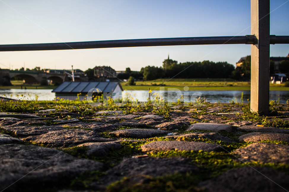 빛,아련,light,강,river,풍경,landscape,식물,자연,plants,nature,꽃,flower,휴식,힐링,rest,relaxation,healing