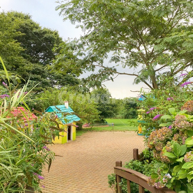 집,나무,풀,자연,수국화,마당,정원,공원,garden,굴뚝,꽃