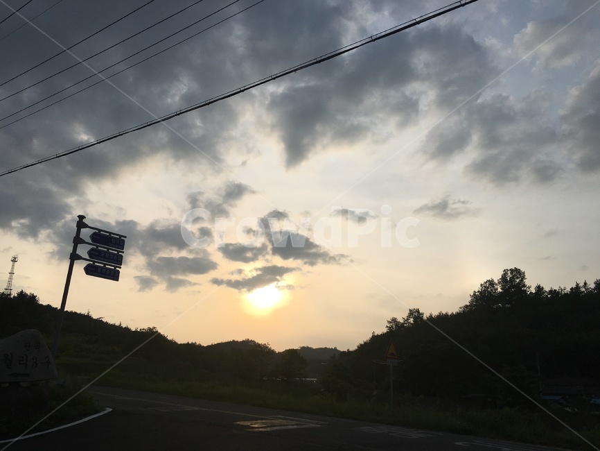 공원,숲,자연,공기,맑음,환경,자연,풍경,nature,landscape,light,빛,flare,플레어