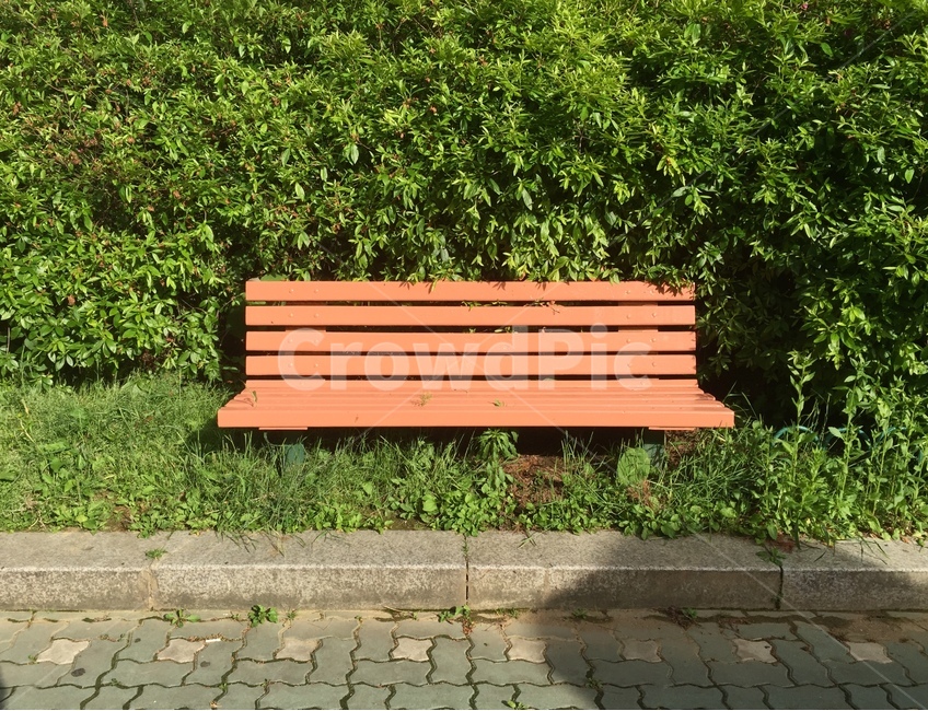 벤치,공원,감성사진,의자,도시,기다림,휴식,식물,자연,plants,nature,휴식,힐링,rest,relaxation,healing