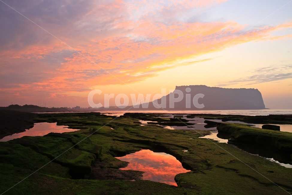 제주도,광치기해안,성산일출봉,광치기해안여명,여명,황금색,nature,outdoors,해안가,물,자연,풍경,nature,landscape