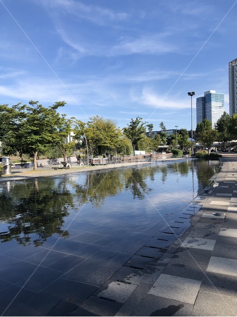 호수,광교호수공원,공원,하늘,비즈니스,배경,나무,도시,풍경,city,landscape,한국도시풍경,한국도시경관,korea cityscape,water,물,outdoors,옥외