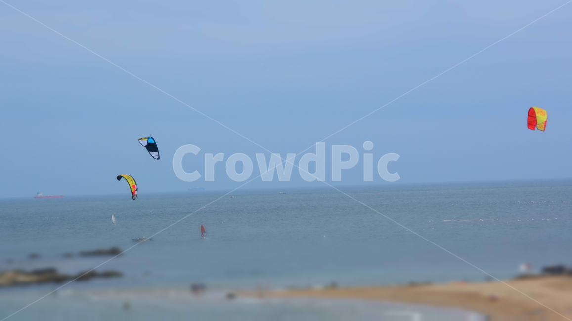 진하해수욕장,패러글라이딩,여름,바다,자유