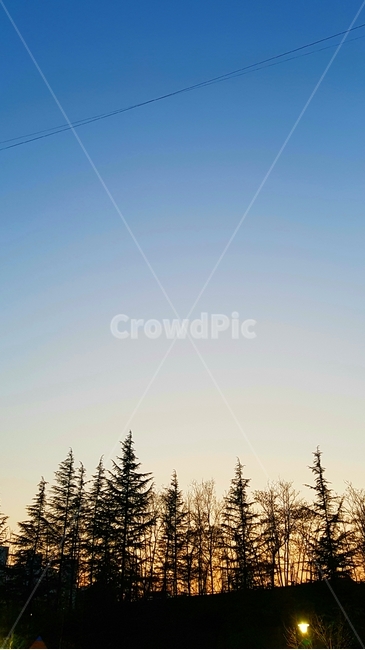 해질녘,하늘,감성,나무,가로등,노을,자연,풍경,nature,landscape,tree,plant,식물,fir,전나무