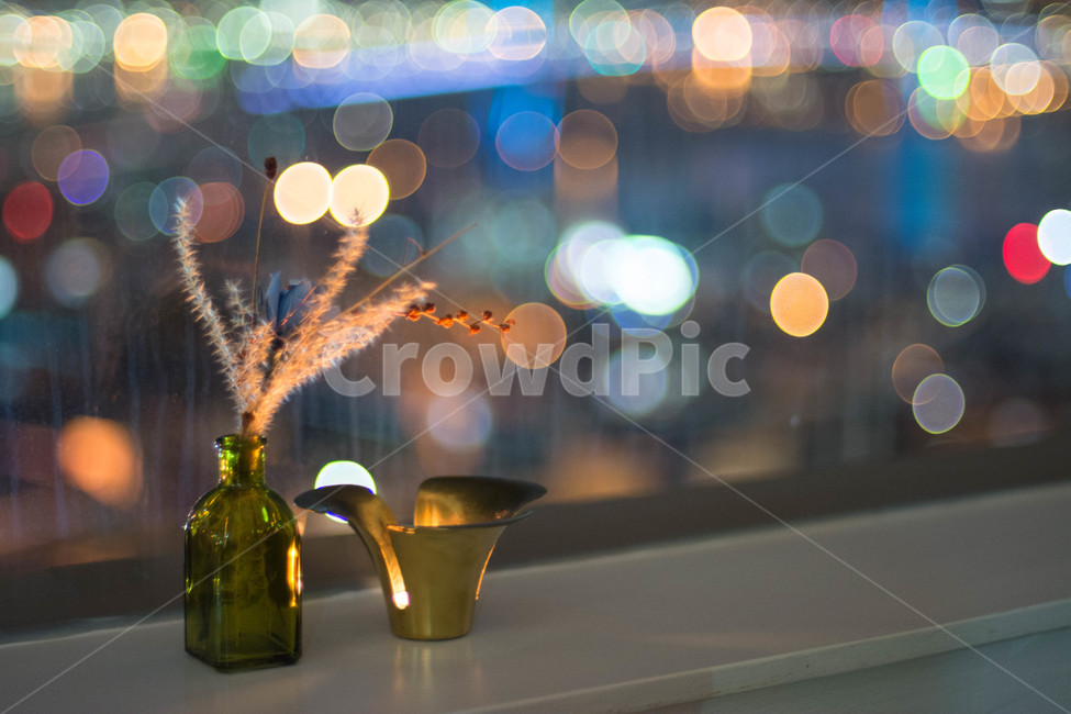 부산,야경,풍경,자연,감성,카페,영도,야경,밤,풍경,nightscape,night,landscape,실내용화초,화분,화초,house plant,감성,sensible,feeling