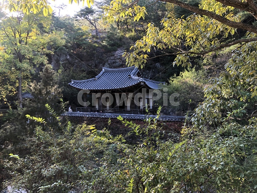 nature,자연,outdoors,옥외,한지방,농촌,만휴정,한옥,한국전통,한국문화,korean traditional,korean culture,건축물,건물외관,exterior,building,structure,architecture,construction