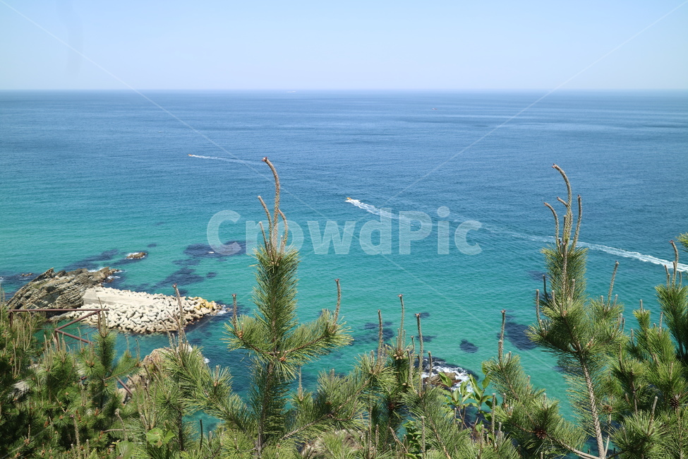 동해바다,강릉,sea,eastsea,seasideofkorea,자연,풍경,nature,landscape,tree,나무,plant,식물,land,땅,outdoors,옥외,ocean,대양,바다,water,물