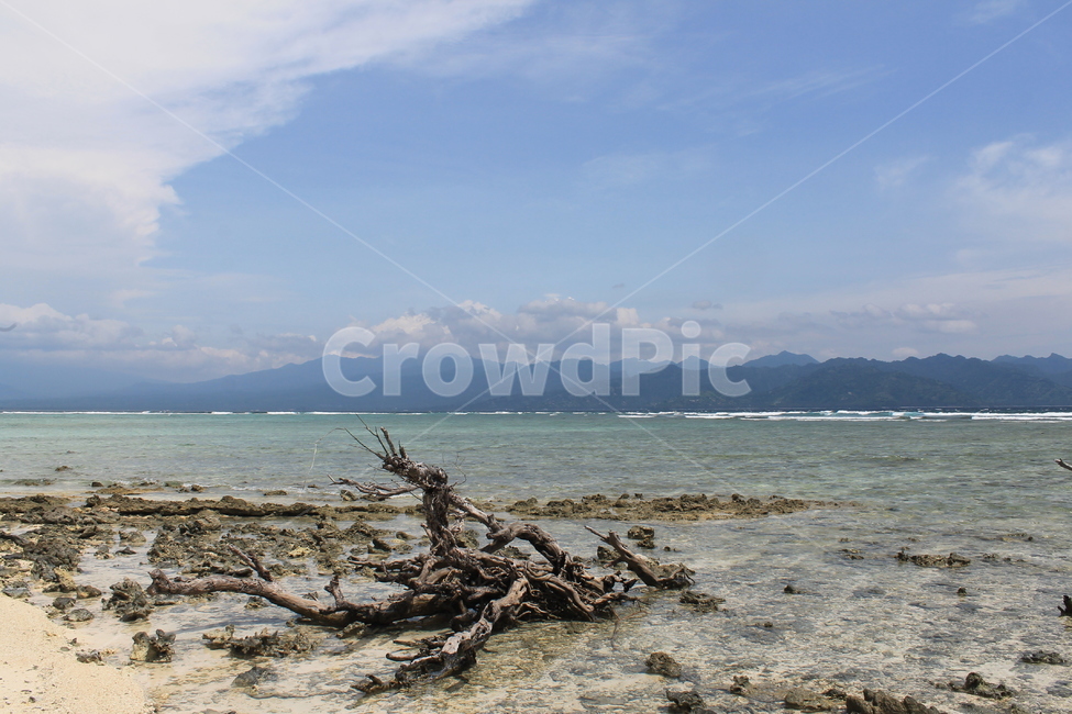 인도네시아,길리,해변,나무,나무해변,indonesia,gili,beach,beachandtree,vacation,nature,sea,고즈넉