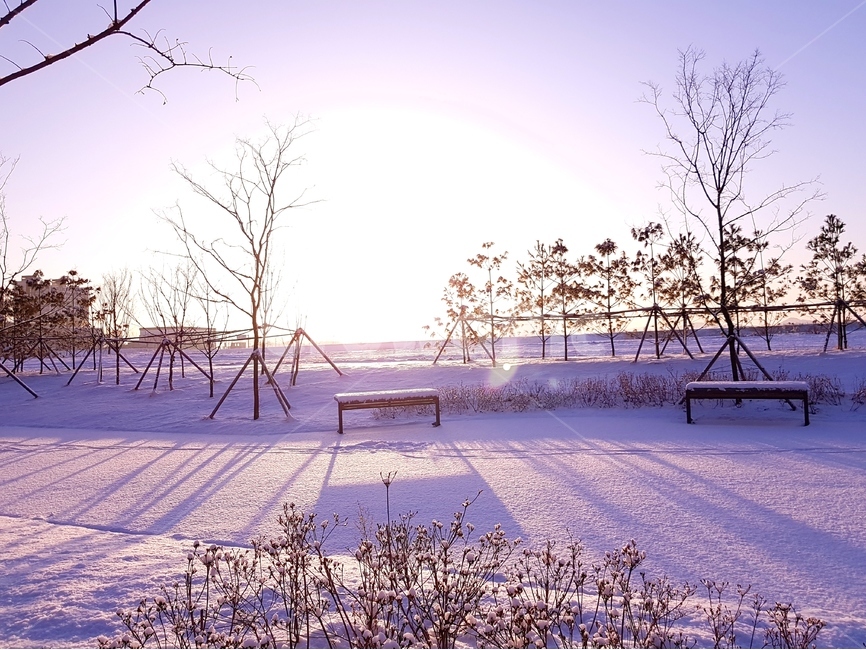 일출,해,풍경,자연,겨울,나무,겨울,계절,winter,season,자연,풍경,nature,landscape